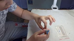 Как клеить опалитку для мечения пчеломаток