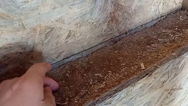 дом из опилкобетона смотреть онлайн