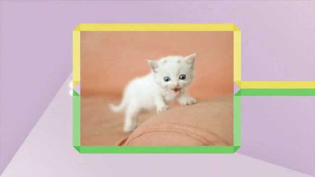 картинки с днем рождения красивые смотреть онлайн