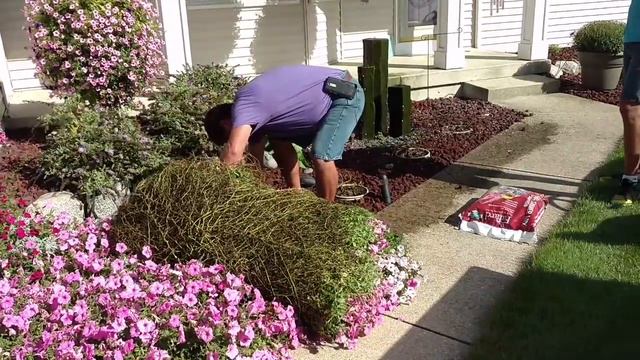 FALL LANDSCAPE CLEANUP