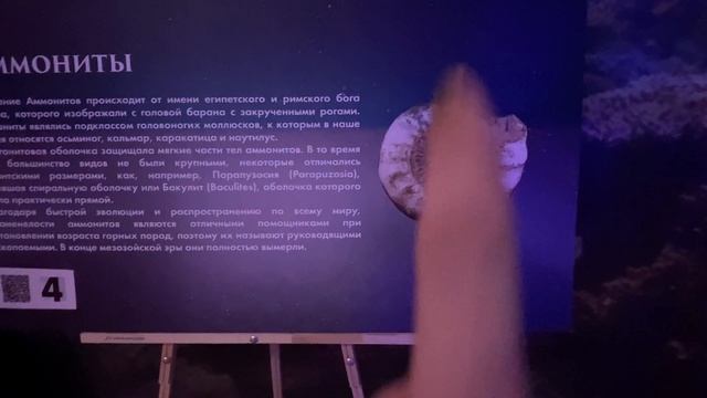 Мой поход на выставку ДИНОЗАВРЫ МОРСКИХ ГЛУБИН (Мега Химки)