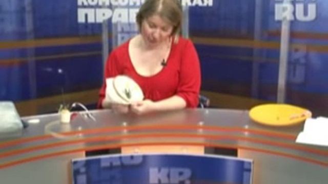 Стебель нарцисса и его коленочка смотреть онлайн