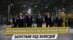 Крупнейший в России фанерный завод запустили под Вологдой