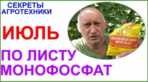 Выдаём Калия Монофосфат (КН2PO4) по листу. Подкормка и профилактика.