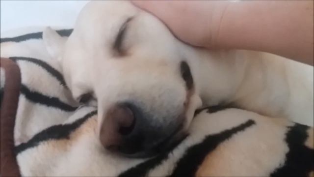 Минута ласки смотреть онлайн