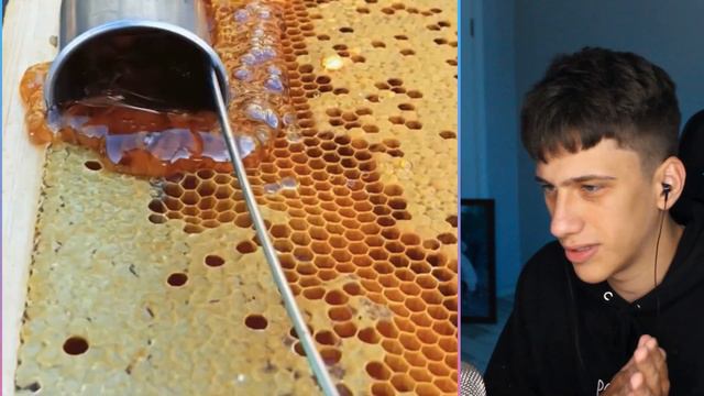 EСЛИ ТЫ СКАЗАЛ "ВОУ" ТЫ ПРОИГРАЛ... (НЕВОЗМОЖНО ВЫИГРАТЬ!) #77 смотреть онлайн