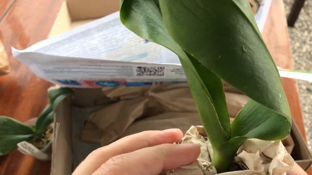 Распаковка посылки с уценкой смотреть онлайн