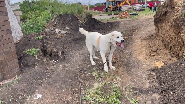 21-05-2023 смотреть онлайн