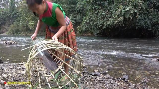 Smart girl build fish trap catch big fish at river | Primitive life cooking fish for survival смотреть онлайн
