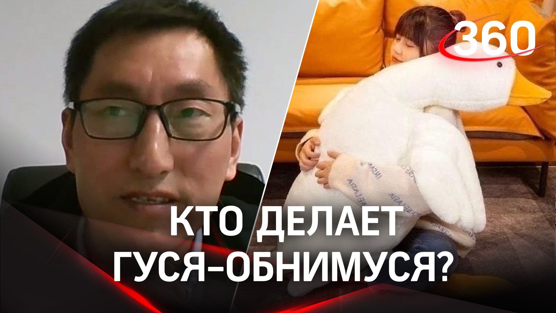 Телеканал 360 пообщались с одним из создателей гигантских плюшевых гусей