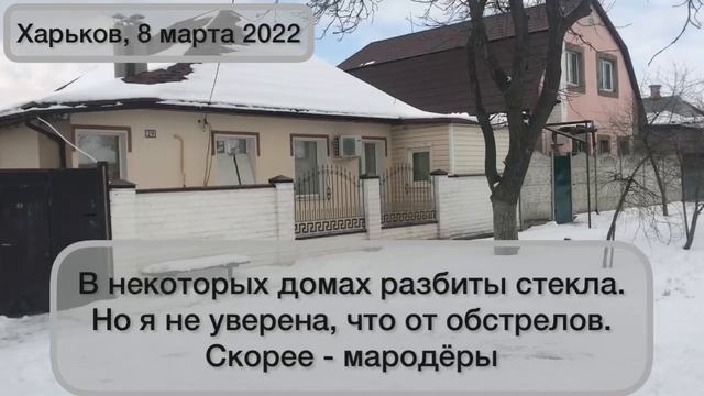 Хроники Харькова - достать еды кошкам радостнее, чем купить себе