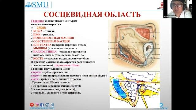 Клиническая анатомия мозгового отдела головы