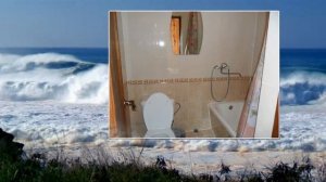 Три пальмы. Лазаревское. Сочи