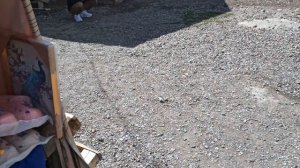 Чуйский тракт.Кош-Агач.Рынок.22 июля