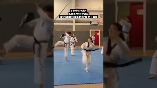 Seminar - Kosin University Taekwondo Demonstration Team @Belgium