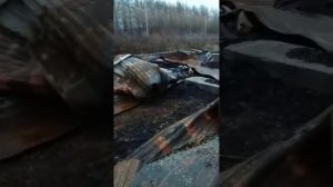 Подготовка участка к постройке бани