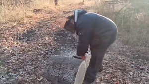 БЕНЗОПИЛА STIHL MS 440.ЗАГОТОВКА ДРОВ. CHAINSAWS STIHL MS 440.FIREWOOD HARVESTING.