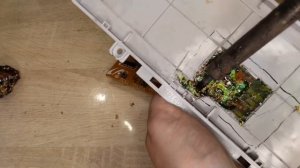 Не включается стиральная машинка SAMSUNG | диагностика и ремонт за 20 минут / Альфа⚡️Зип