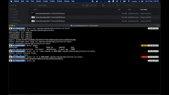 How to install Camunda Platform7 with Docker