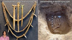 Первое одомашнивание лошади. Ботайская или ямная культура? Новые загадки праиндоевропейского языка.