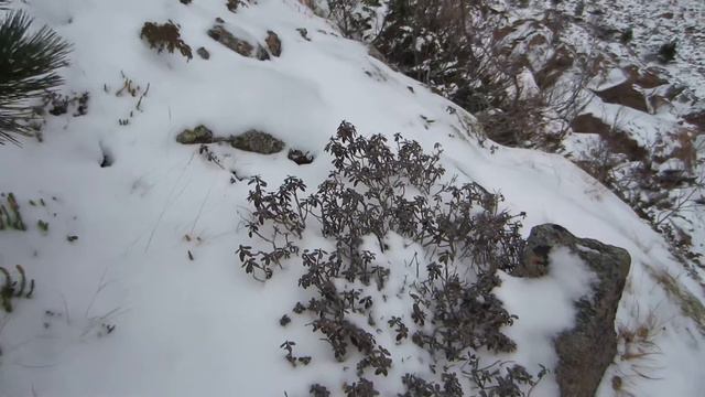 Сахандаля смотреть онлайн