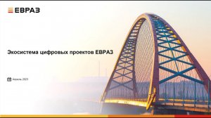 Развитие компании «Евраз Металл Инпром». Проблемные зоны и их решения.