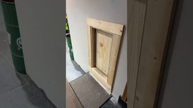 Pneumatic dog door