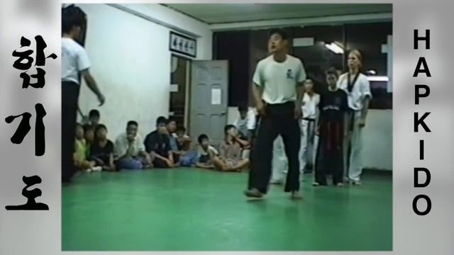 Hapkido Kicks (South-Korea, 1995) смотреть онлайн