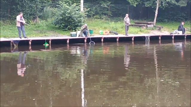 Ловля форель на спиннинг. Утренние поимки на спорт зоне. Клёвое место, лосиный остров смотреть онлайн