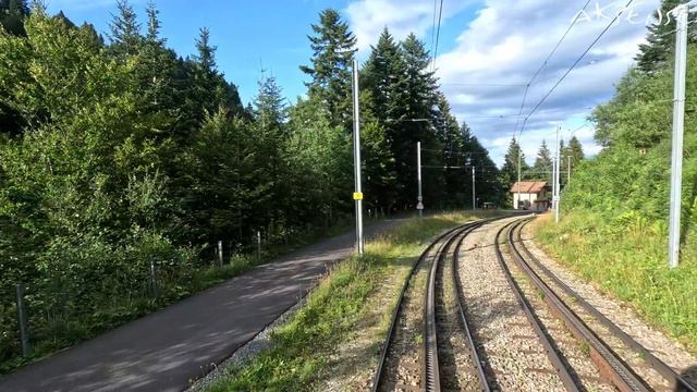 4K Cab Ride - Rigi Kulm to Arth Goldau Switzerland - Train Driver view | Mountain Train Journey смотреть онлайн