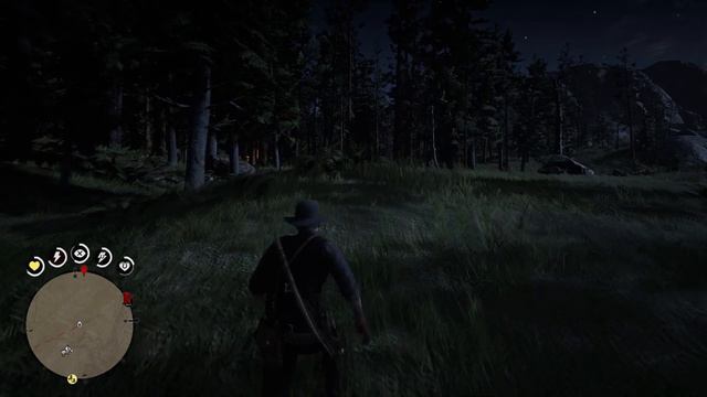 Red Dead Redemption 2 - Эпилог 2. Бичерс-Хоуп. Загадочные надписи. Найти 2 шалфея
