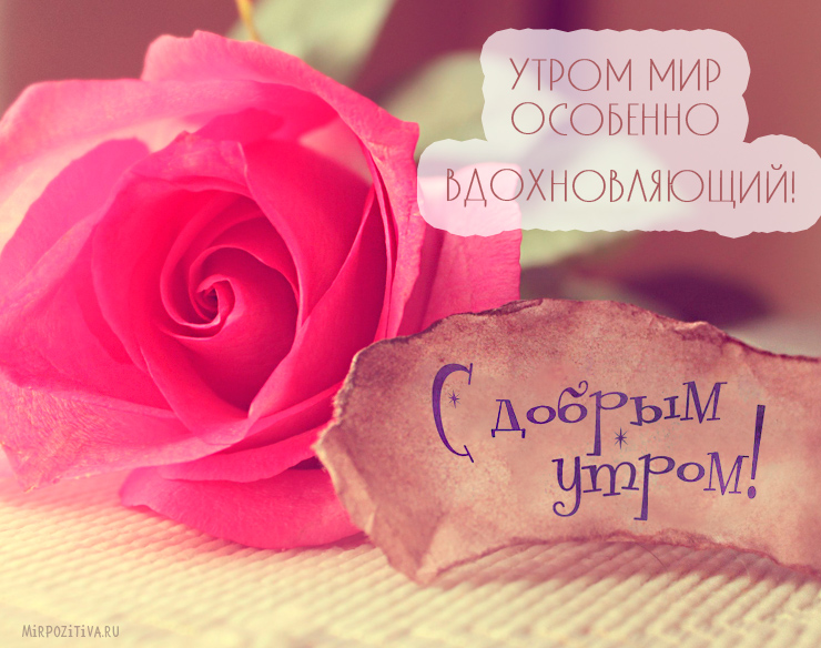 Доброе утро моя хорошая картинки для девушки