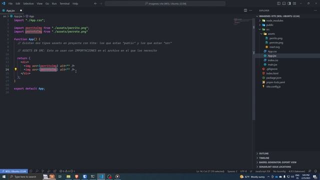 Como usar assets en un proyecto de React con Vite - Desarrollo Web смотреть онлайн