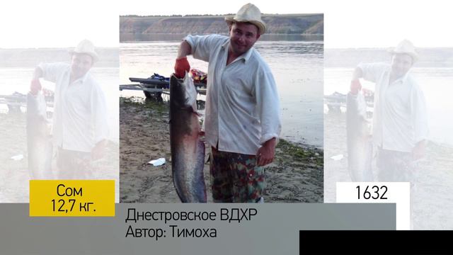 Фотоальбом - Рыбалка №326 смотреть онлайн