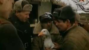 Ради нескольких строчек