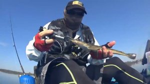 Tingalpa Creek flathead fishing