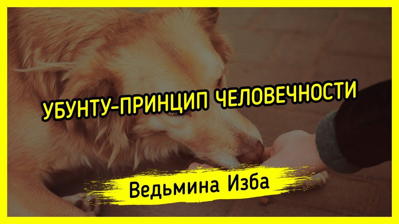 УБУНТУ - ПРИНЦИП ЧЕЛОВЕЧНОСТИ. #ВЕДЬМИНАИЗБА ▶️ #МАГИЯ