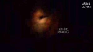 НЕИЗВЕСТНЫЕ существа снятые на камеру