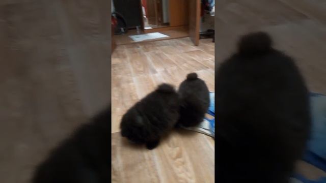 не заменимая помощь смотреть онлайн