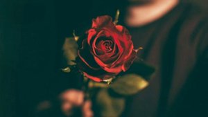 Ра? ра? розу?