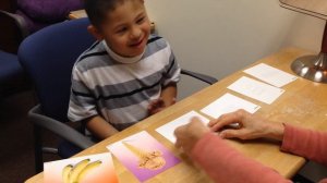 Down Syndrome Working Memory Game