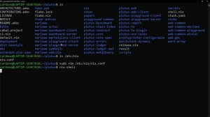 Plutus Smart Contract Development: Running Plutus on Windows with WSL