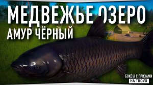 Медвежье озеро • Амур чёрный • Русская Рыбалка 4