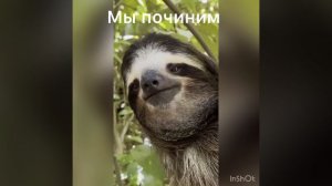 Ремонт ноутбуков