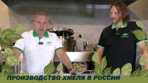 Отечественное хмелеводство. Производство хмеля в России