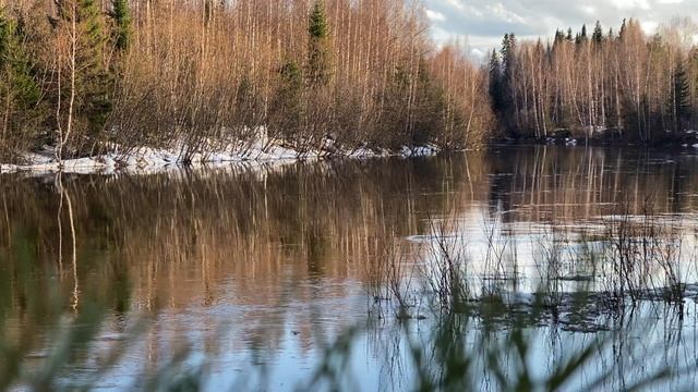 Река весной / видеофон / футаж