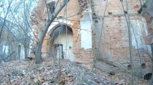 Усадьба Дунин-Борковского в Новой Романовке