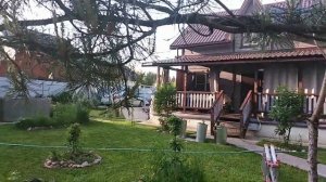 Мияки - дерево бансай на участке своими руками