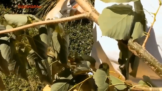 Самые классные инструменты с Aliexpress. Лучшие выпуски смотреть онлайн