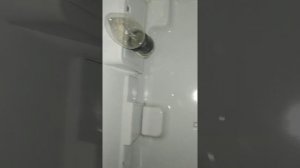 Шкаф из холодильника.